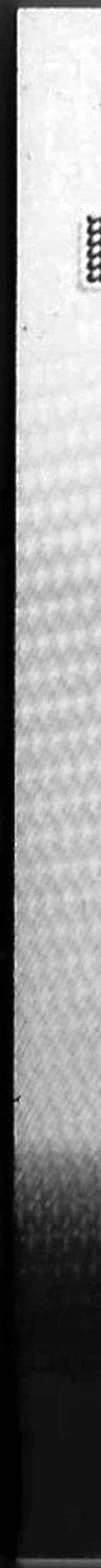 Back left edge — Inverted view