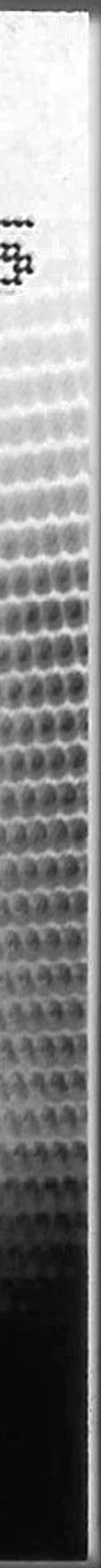 Back right edge — Inverted view