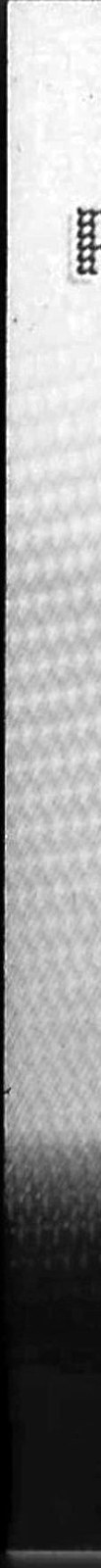 Back left edge — Inverted view