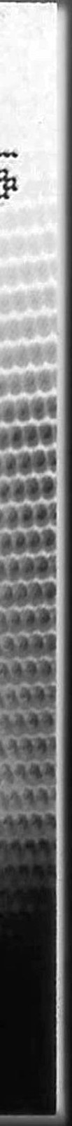 Back right edge — Inverted view