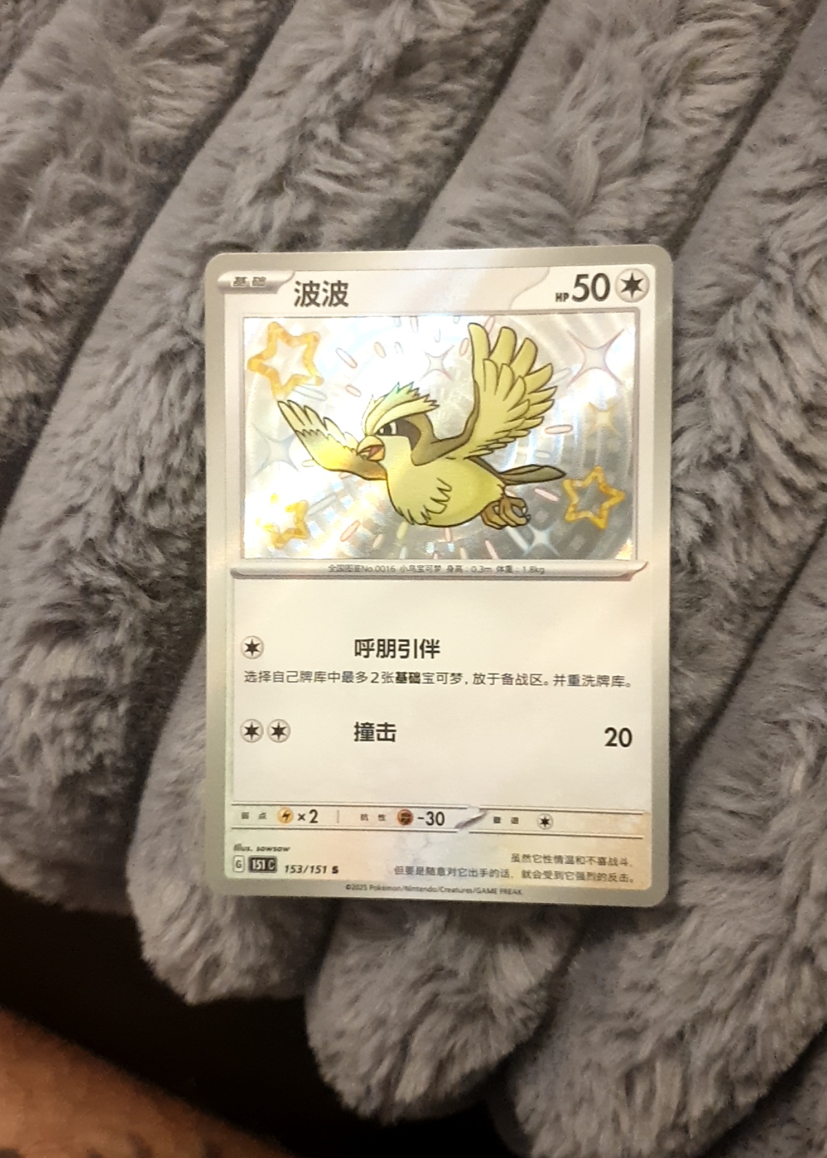 Pidgey