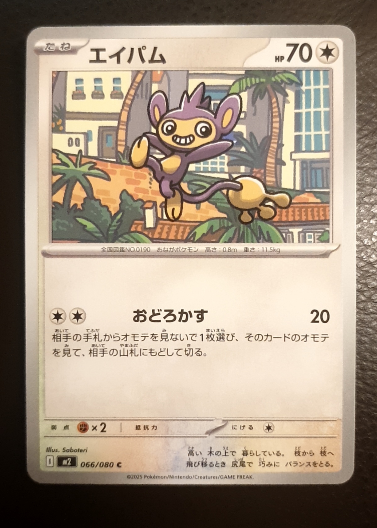 Aipom
