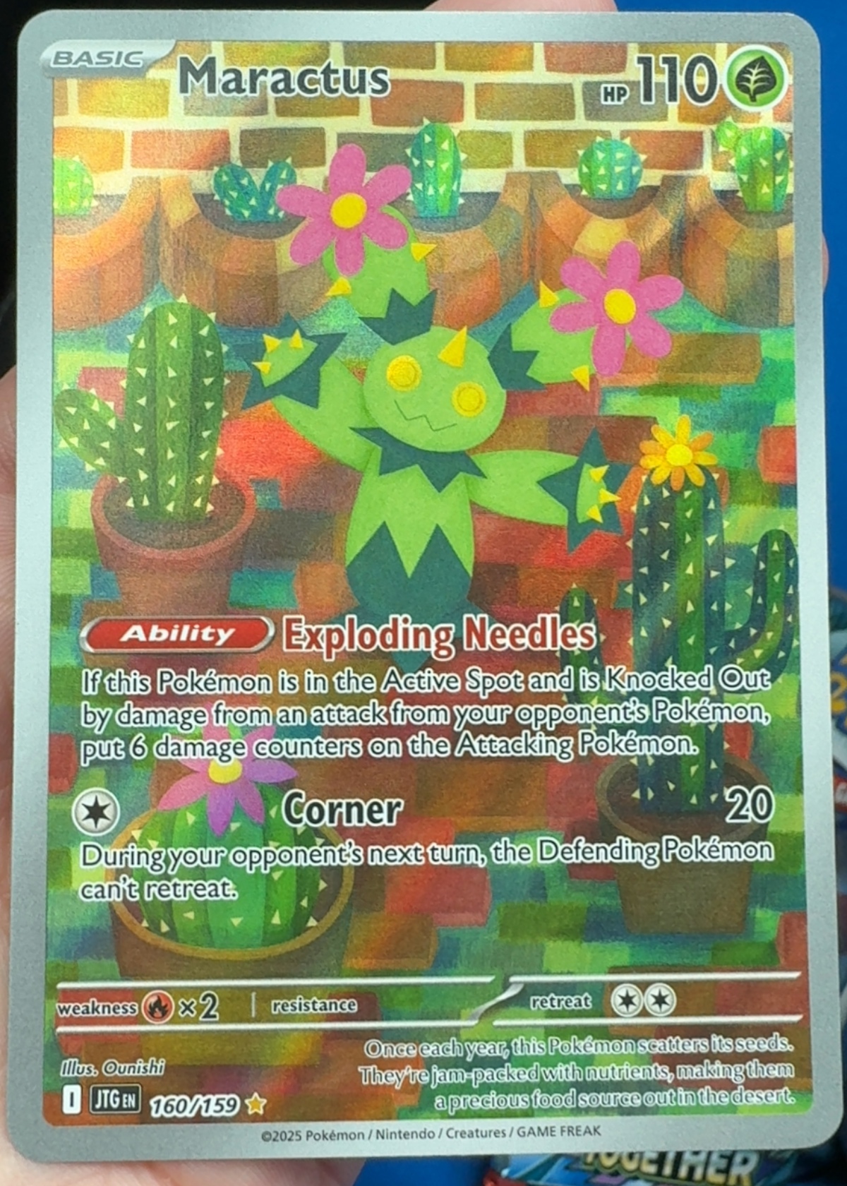 Maractus - Journey Together [Grade 9]