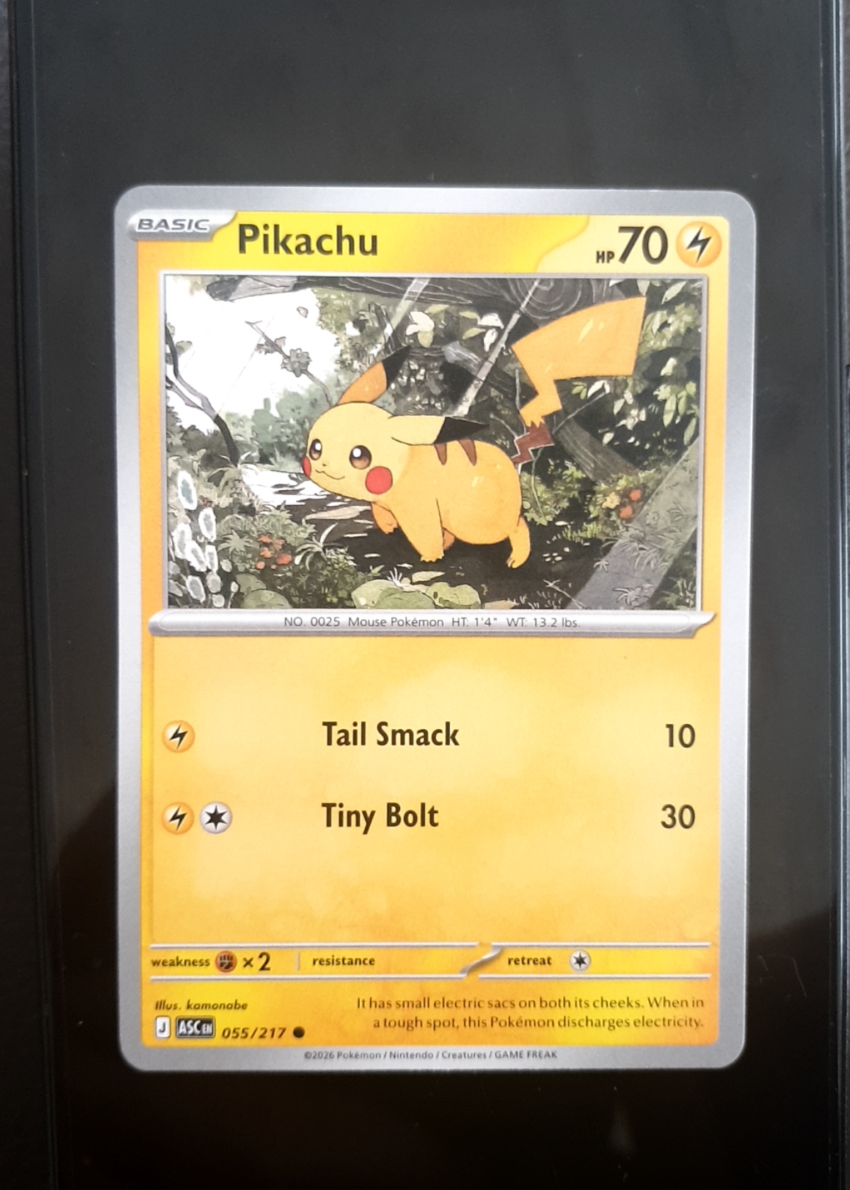 Pikachu - Ascended Heroes [Grade 9]