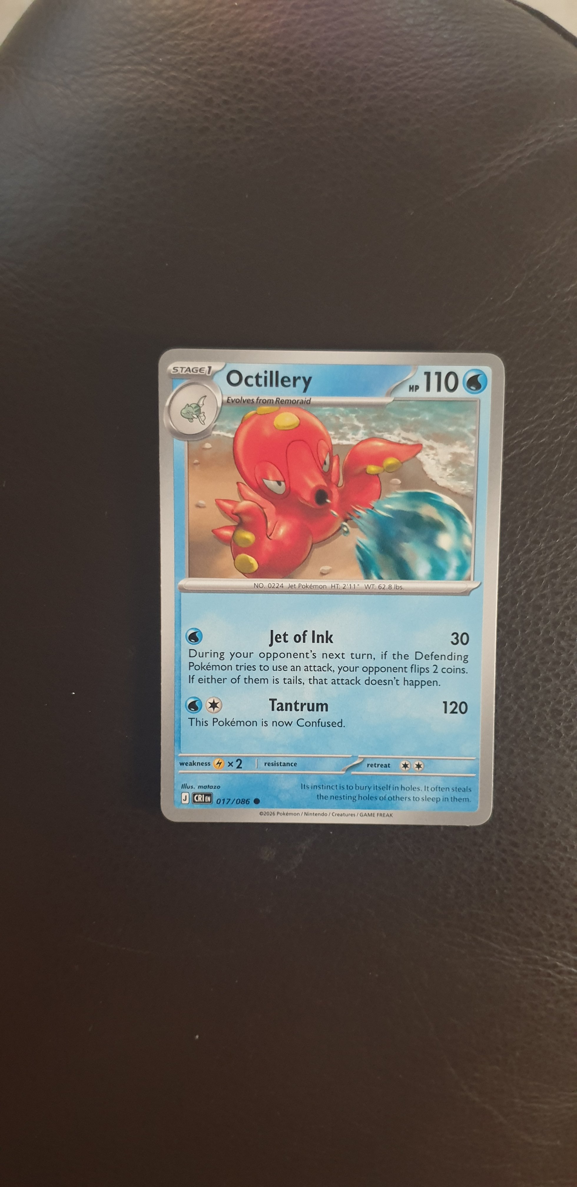 Octillery