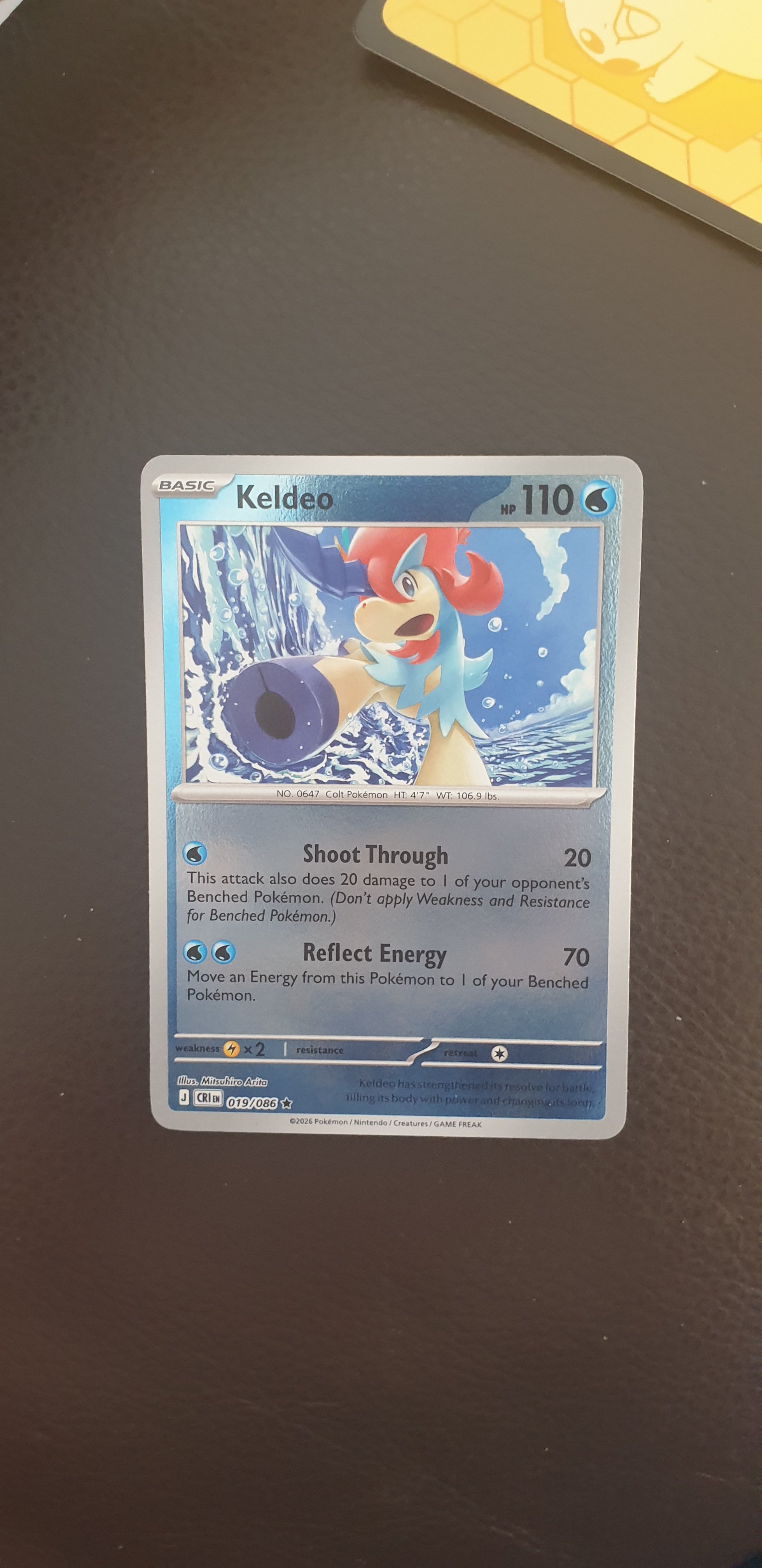 Keldeo - Chaos Rising (Mega Evolution series)
