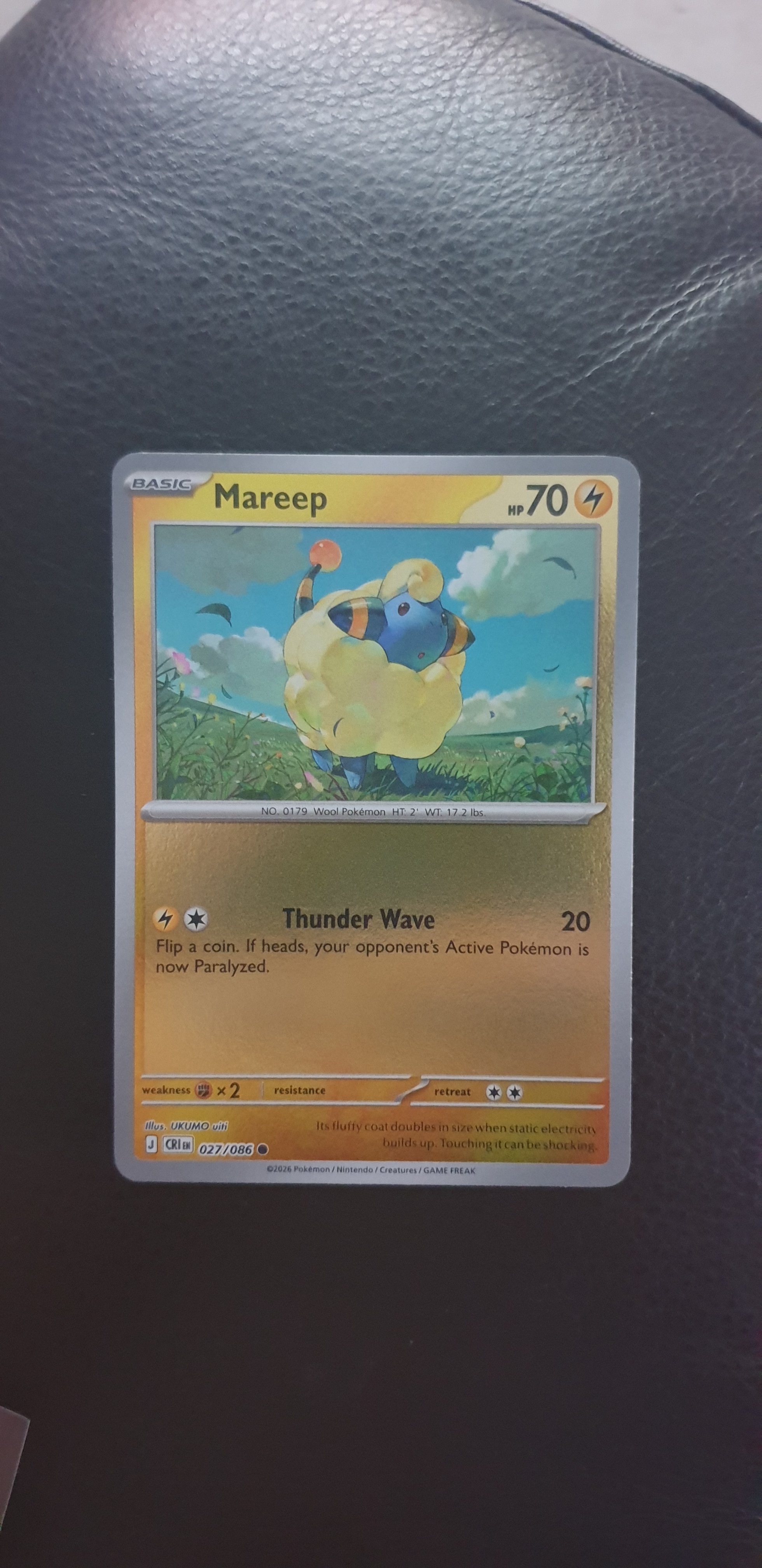 Mareep