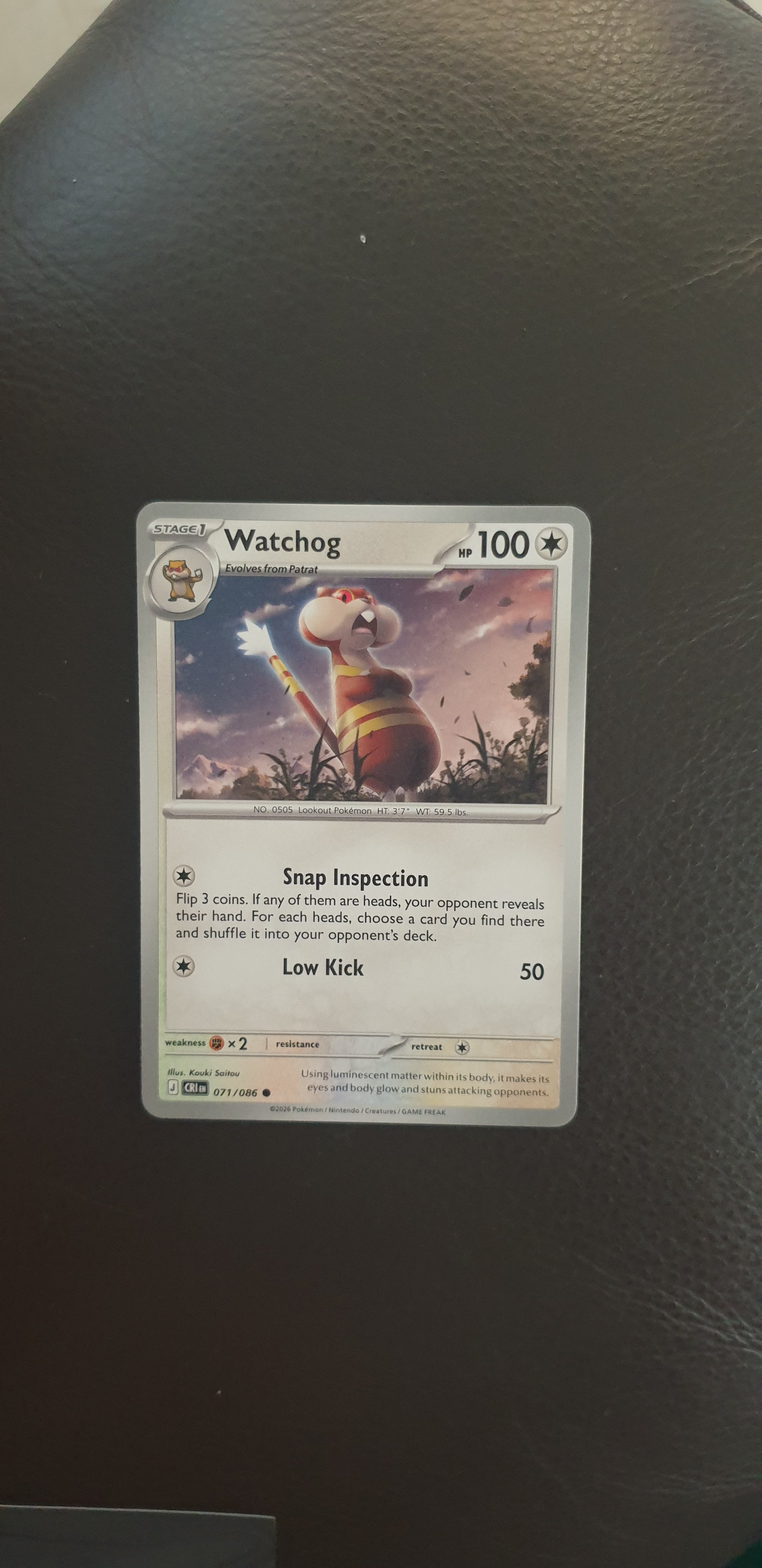 Watchog