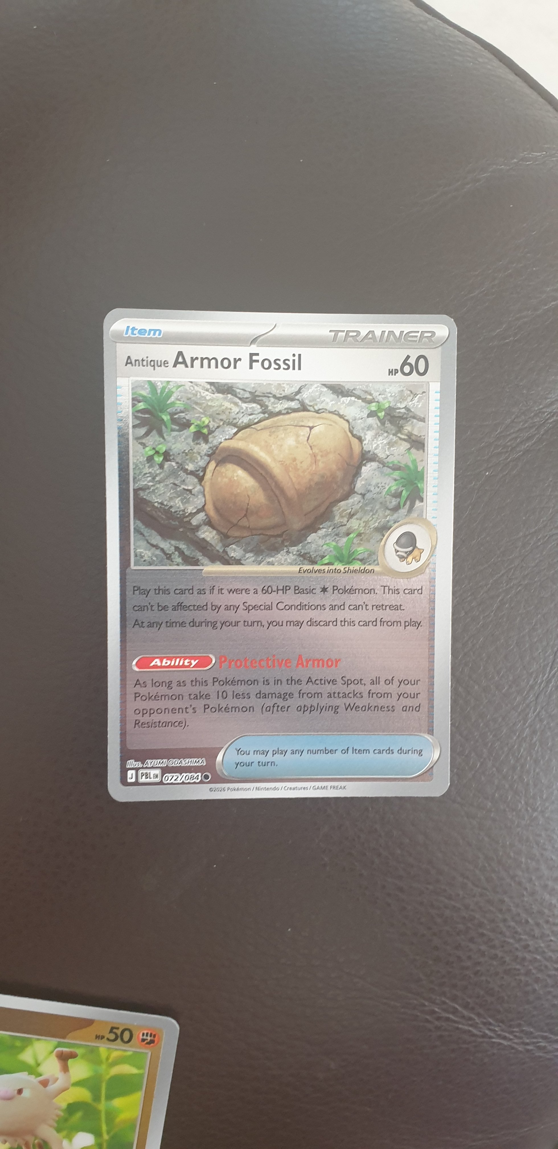 Antique Armor Fossil